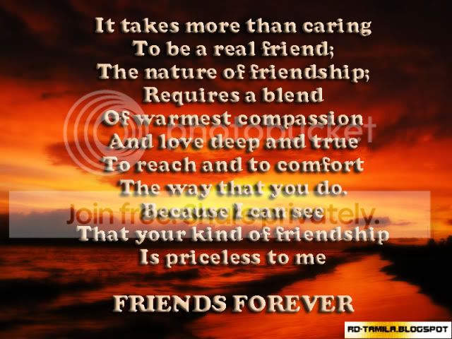 friendster,myspace,tagged,comments