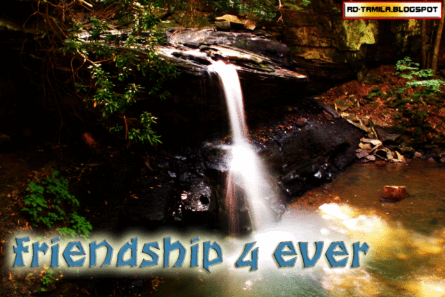 friendster,myspace,tagged,comments