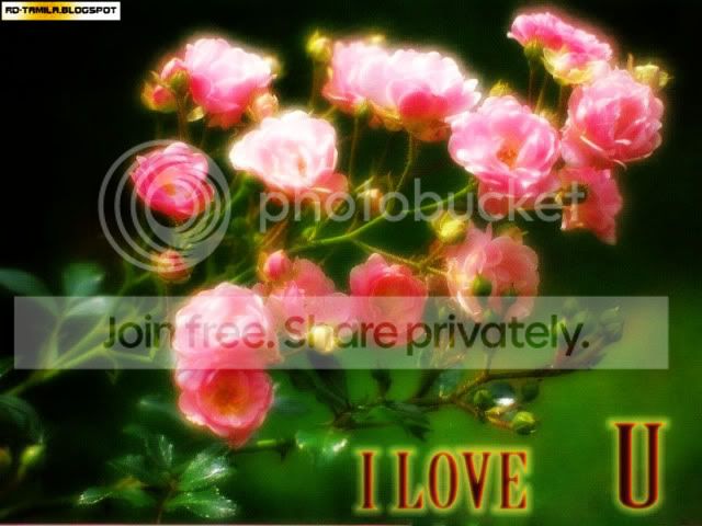 friendster,myspace,tagged,comments