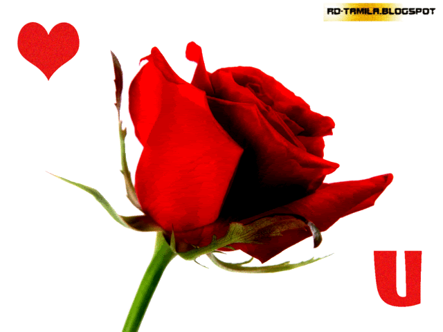 friendster,myspace,tagged,comments