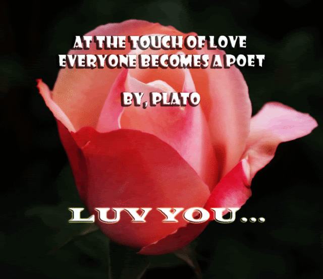 friendster,myspace,tagged,comments