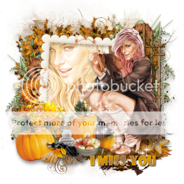 photo 275mpm15MissYou.png