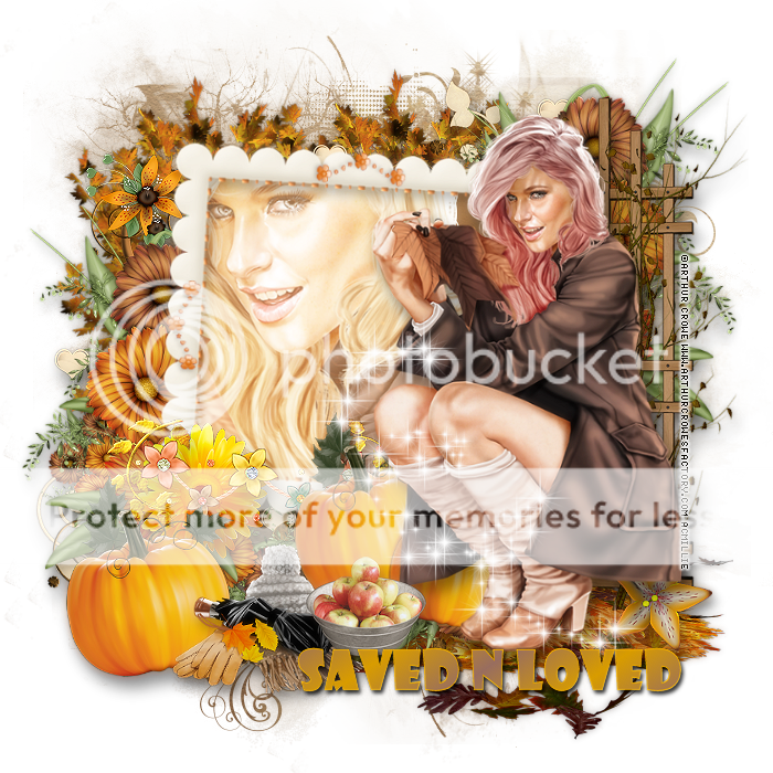 photo 275mpm15SavedNLoved.png