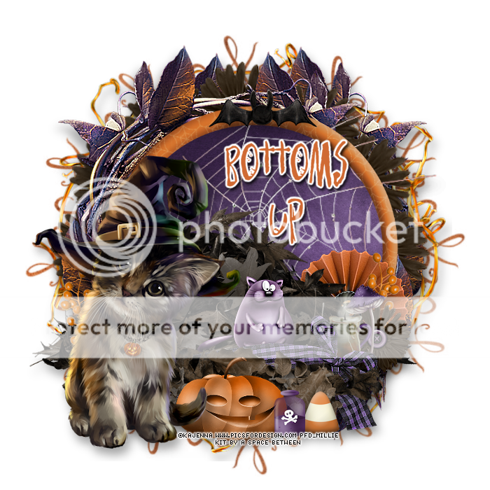 photo 281mpm15BottomsUp.png