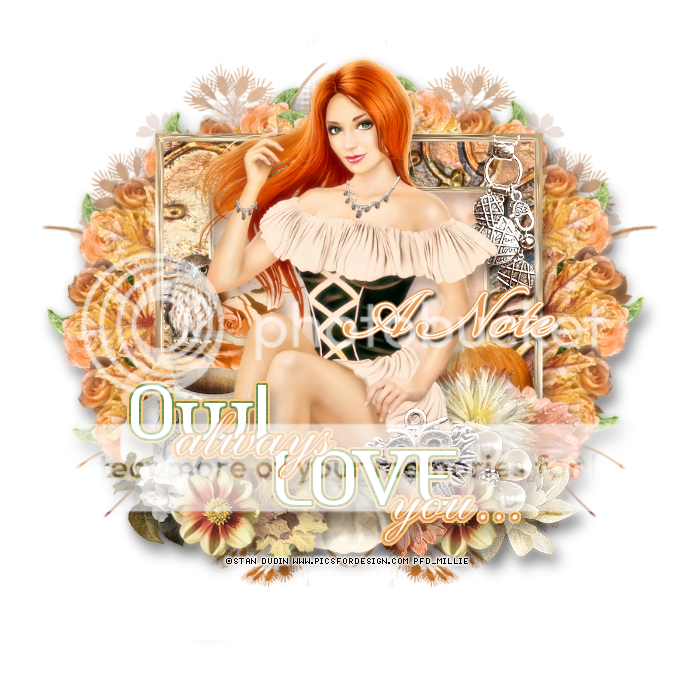photo 317mpm15ANote.png