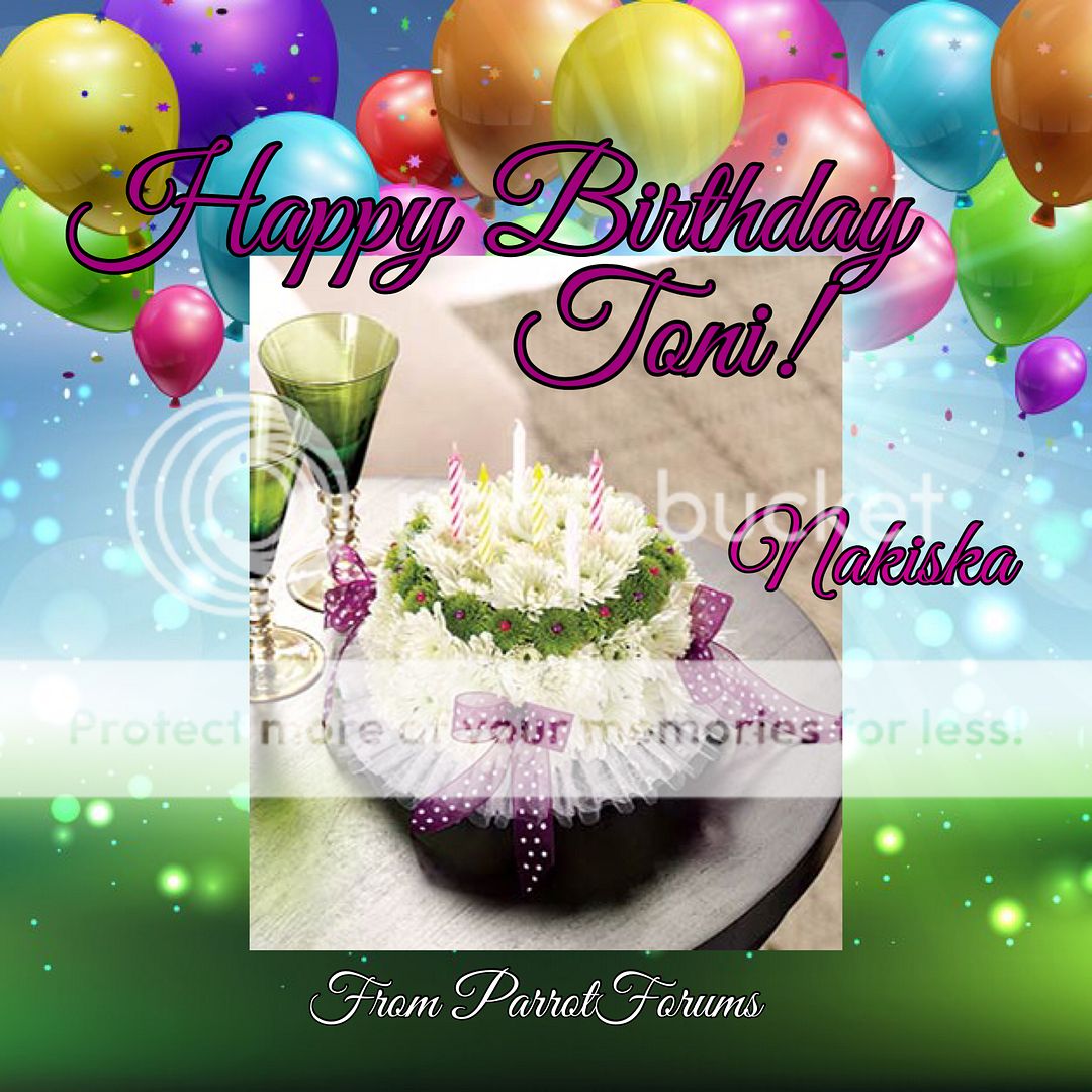 Parrot Forum - Parrot Owner’s Community - Happy Birthday Toni!