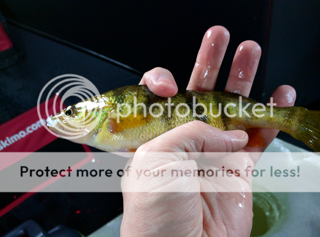 IMG_20160212_161406.jpg.png