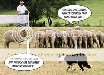 who-are-the-sheep_350_zps0ifcuiav.png