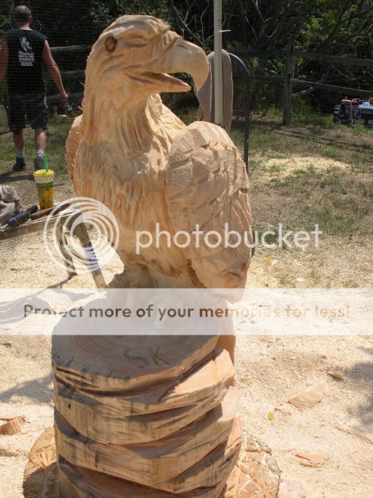 Eagle Chainsaw Carving YouTube Video